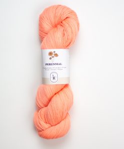 Perennial Cantaloupe