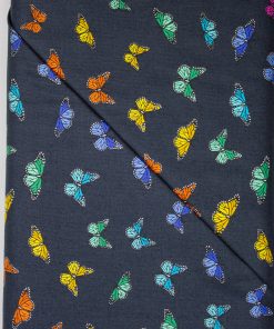 Night Butterfly Rainbow