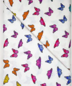 Day Butterfly Parade Rainbow