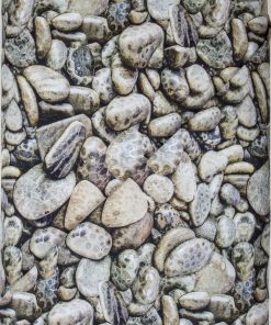 Petoskey Stones