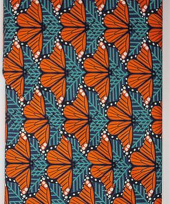 Small Monarch Butterflies
