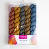 Party of Five Mini Skein Set 5
