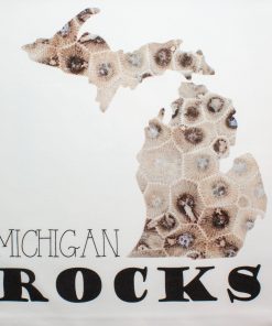 #3 Michigan Rocks