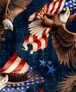 1776- American Eagle & Flag Toss (DK Navy)