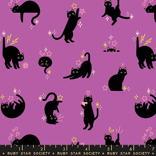 Freaky Familiars Witchy