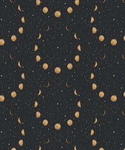 LUNAR ECHOES