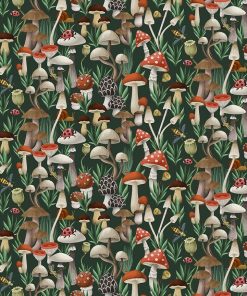 THE FUNGI KINGDOM